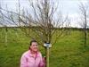  Paul's daughter Christine standing beside a tree in Ireland planted on private property in Chuck's name.  There is a tree planted for EVERY Firefighter lost on 9/11.
